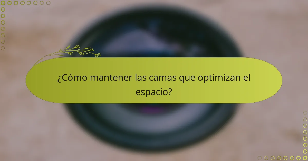 ¿Cómo mantener las camas que optimizan el espacio?