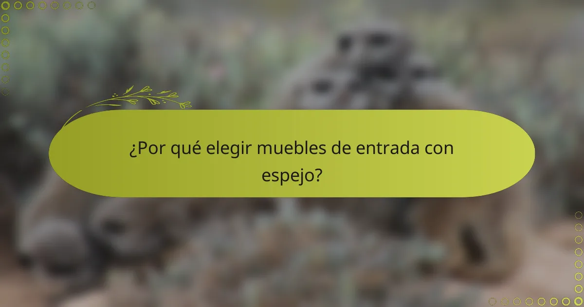 ¿Por qué elegir muebles de entrada con espejo?