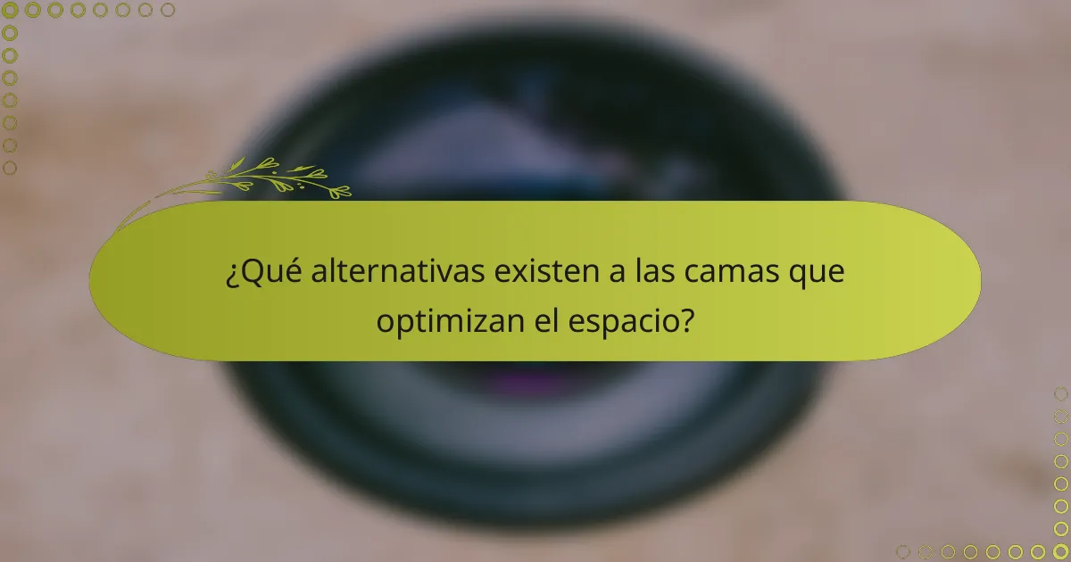 ¿Qué alternativas existen a las camas que optimizan el espacio?
