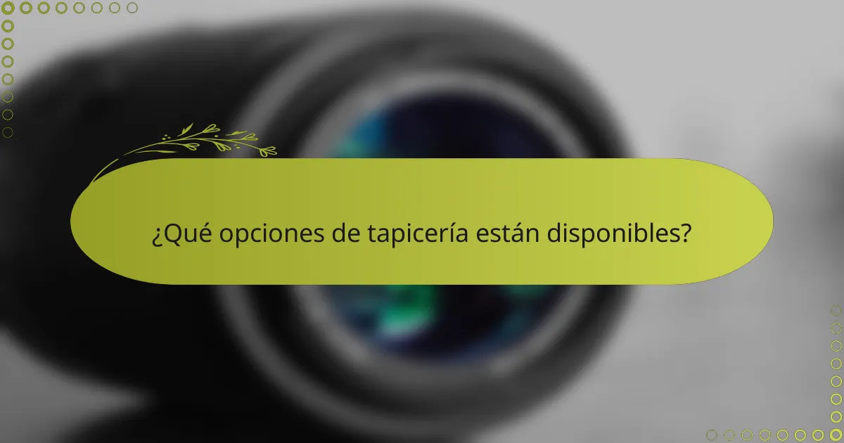 ¿Qué opciones de tapicería están disponibles?