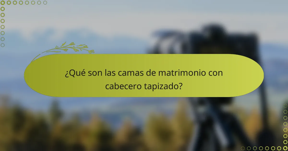 ¿Qué son las camas de matrimonio con cabecero tapizado?