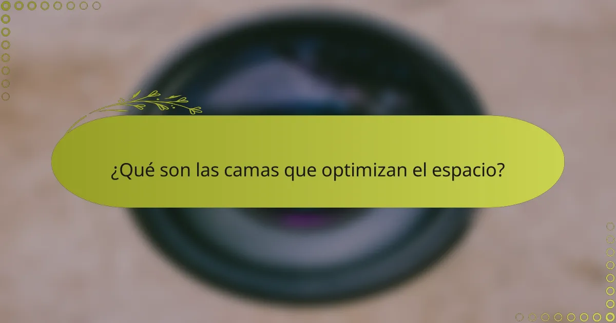 ¿Qué son las camas que optimizan el espacio?