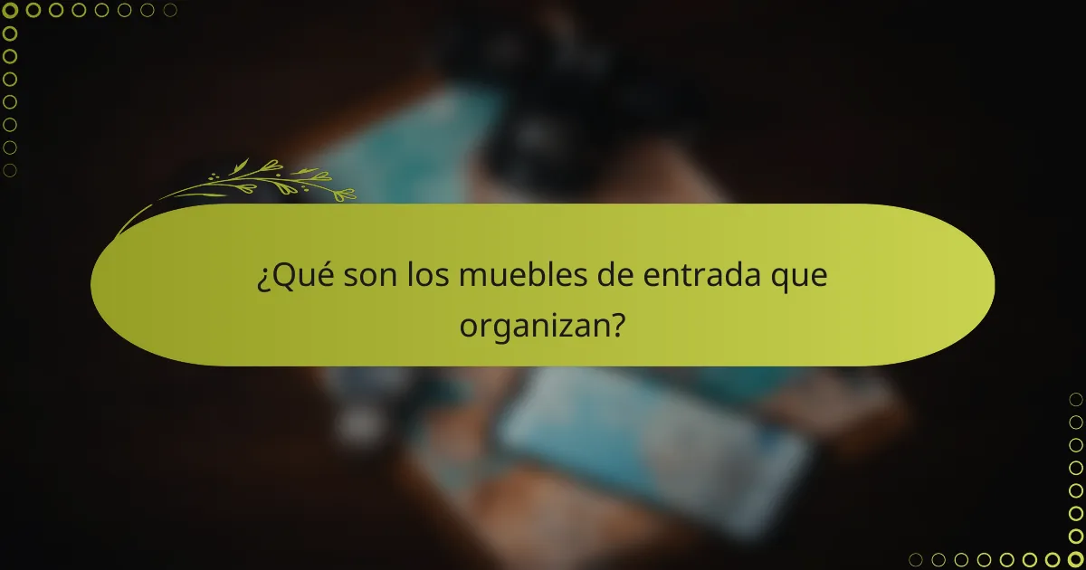 ¿Qué son los muebles de entrada que organizan?